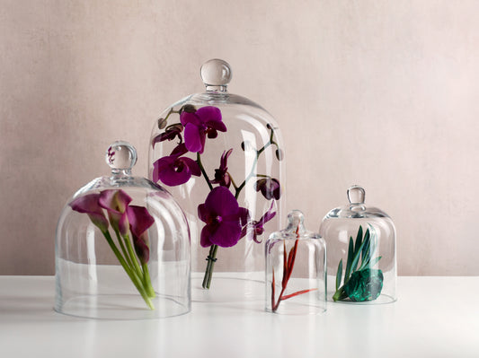 The Timeless Elegance of Glass Cloches: From Garden to Home Decor