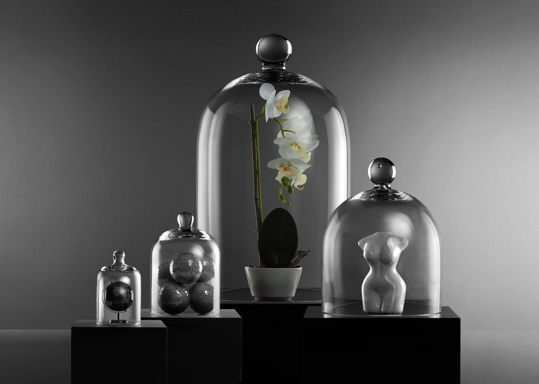 Elevate Your Retail Display with Glass Cloches: A Visual Merchandising Masterpiece