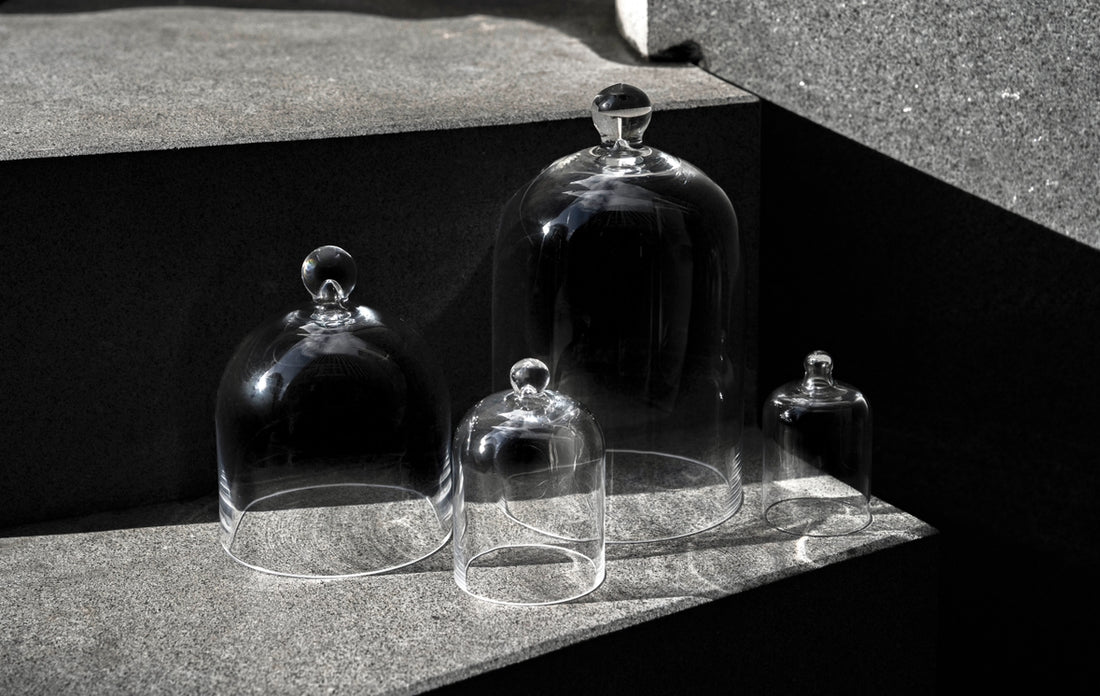 Unveiling the Charm of the Glass Cloche: A Blend of History and Modern Elegance